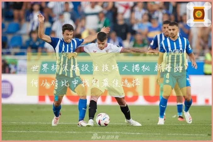 世界杯买球投注技巧大揭秘 新手如何从对比中找到最佳选择