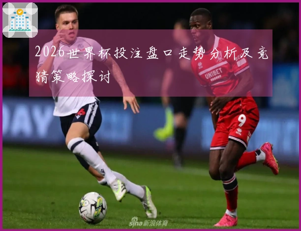 2026世界杯投注盘口走势分析及竞猜策略探讨