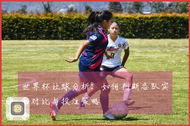 世界杯让球分析：如何判断各队实力对比与投注策略