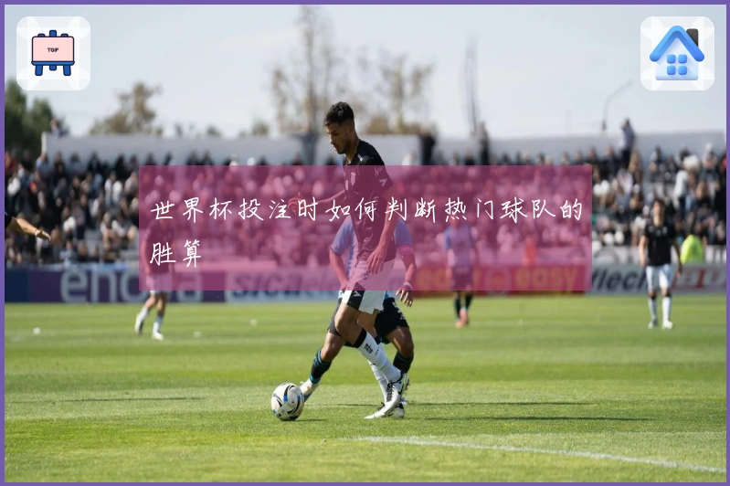 世界杯投注时如何判断热门球队的胜算