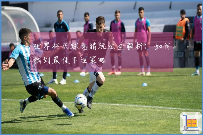 世界杯买球竞猜玩法全解析：如何找到最佳下注策略