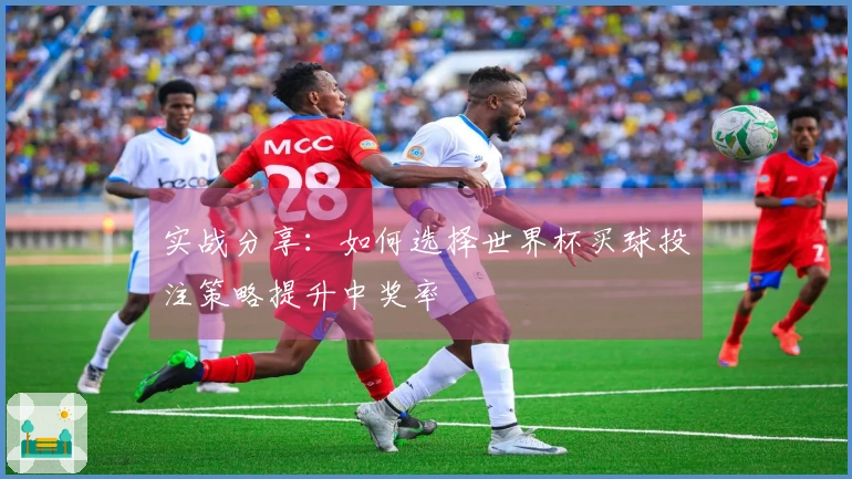 实战分享：如何选择世界杯买球投注策略提升中奖率