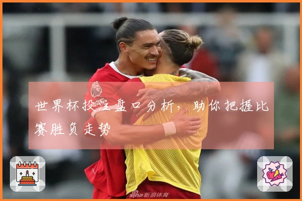 世界杯投注盘口分析，助你把握比赛胜负走势