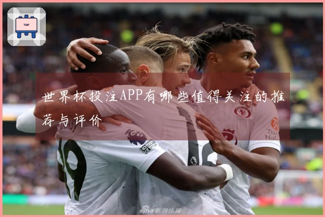 世界杯投注APP有哪些值得关注的推荐与评价